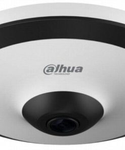 DH-IPC-EW5541P-AP (fisheye)
