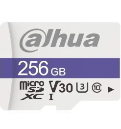 DHI-TF-P100/256GB MicroSD
