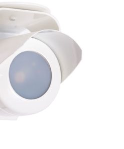 Lalea -1-1 (ТЮЛЬПАН 1-1)