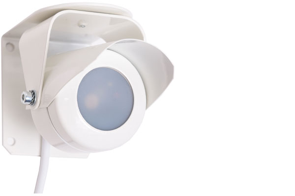 Lalea -1-1 (ТЮЛЬПАН 1-1)