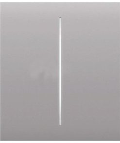 Ajax CenterButton (2-gang) [55] fog